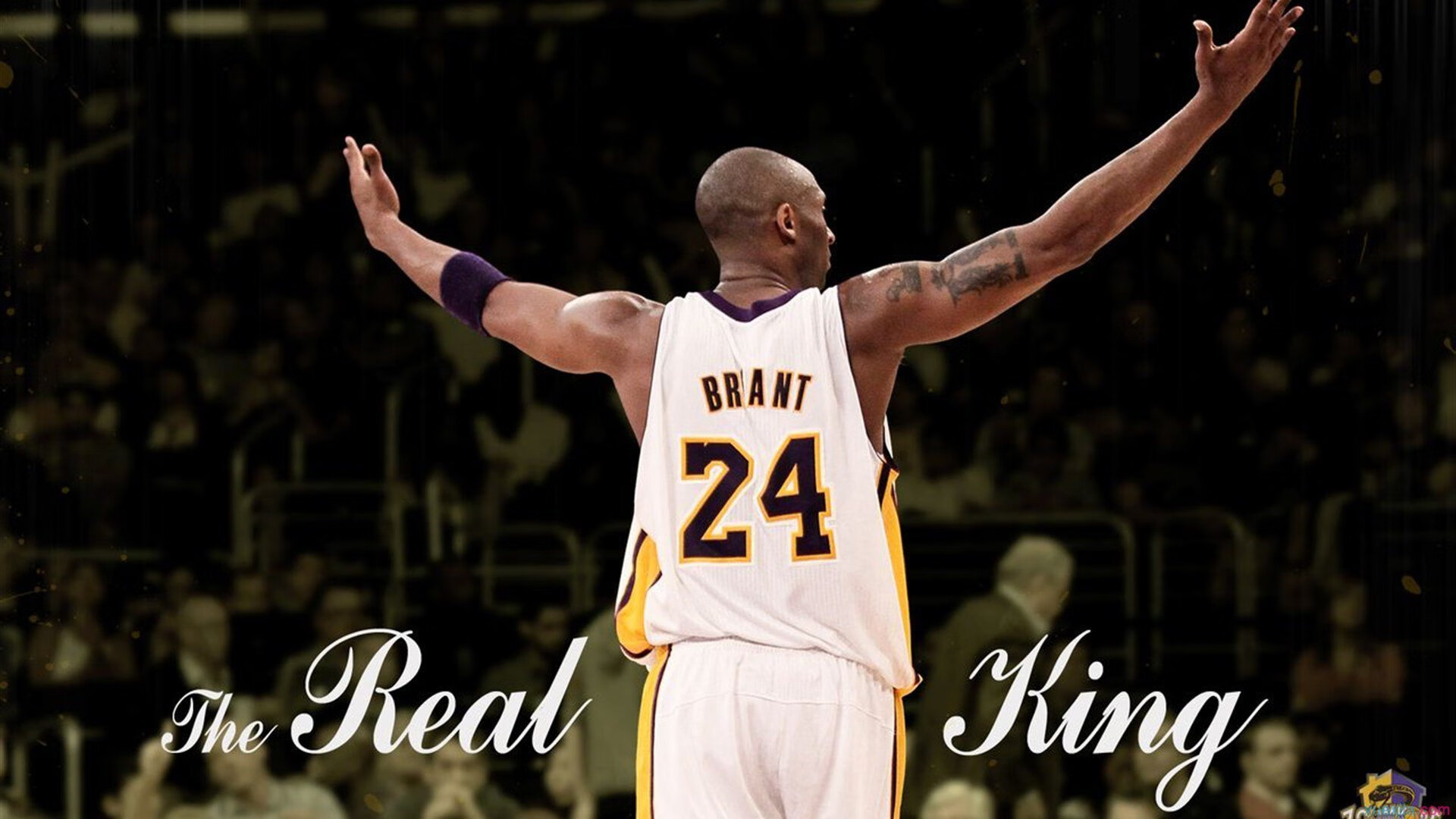 乐鱼体育官网登录-五大联赛神锋争霸！梅罗级球员涌现，金球希望存差异，梅罗nba